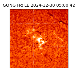 gong - 2024-12-30T05:00:42