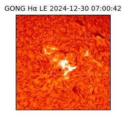 gong - 2024-12-30T07:00:42