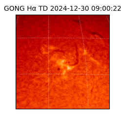 gong - 2024-12-30T09:00:22