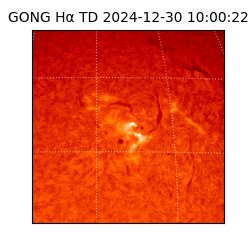 gong - 2024-12-30T10:00:22