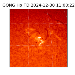 gong - 2024-12-30T11:00:22