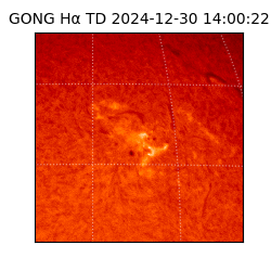 gong - 2024-12-30T14:00:22