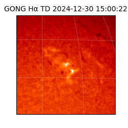 gong - 2024-12-30T15:00:22