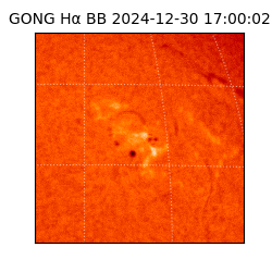 gong - 2024-12-30T17:00:02