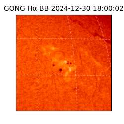 gong - 2024-12-30T18:00:02