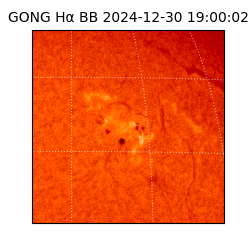 gong - 2024-12-30T19:00:02