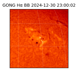 gong - 2024-12-30T23:00:02