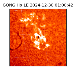 gong - 2024-12-30T01:00:42