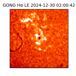 gong - 2024-12-30T02:00:42