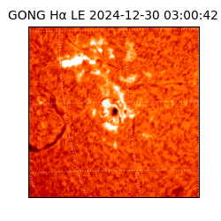 gong - 2024-12-30T03:00:42