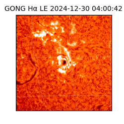 gong - 2024-12-30T04:00:42