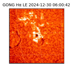 gong - 2024-12-30T06:00:42