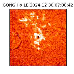 gong - 2024-12-30T07:00:42