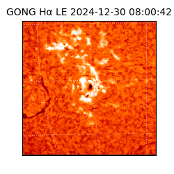 gong - 2024-12-30T08:00:42