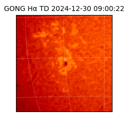 gong - 2024-12-30T09:00:22