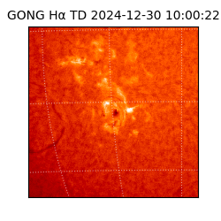 gong - 2024-12-30T10:00:22