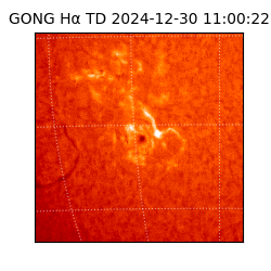 gong - 2024-12-30T11:00:22