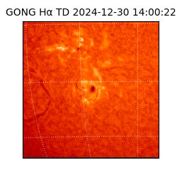 gong - 2024-12-30T14:00:22