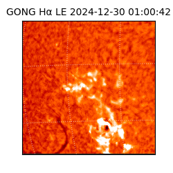 gong - 2024-12-30T01:00:42