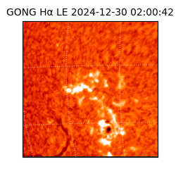 gong - 2024-12-30T02:00:42