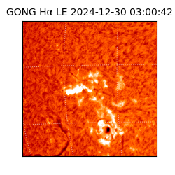 gong - 2024-12-30T03:00:42