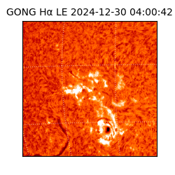 gong - 2024-12-30T04:00:42