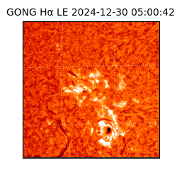 gong - 2024-12-30T05:00:42