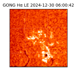 gong - 2024-12-30T06:00:42