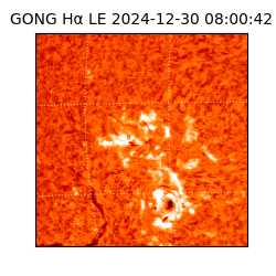 gong - 2024-12-30T08:00:42