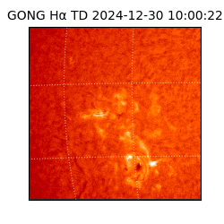 gong - 2024-12-30T10:00:22