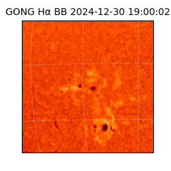 gong - 2024-12-30T19:00:02