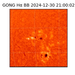 gong - 2024-12-30T21:00:02