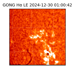 gong - 2024-12-30T01:00:42