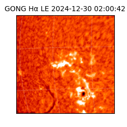 gong - 2024-12-30T02:00:42