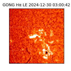 gong - 2024-12-30T03:00:42