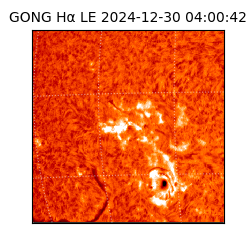 gong - 2024-12-30T04:00:42