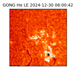 gong - 2024-12-30T06:00:42