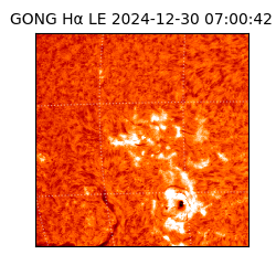 gong - 2024-12-30T07:00:42