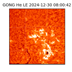 gong - 2024-12-30T08:00:42