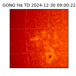 gong - 2024-12-30T09:00:22