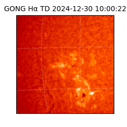 gong - 2024-12-30T10:00:22