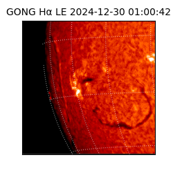 gong - 2024-12-30T01:00:42