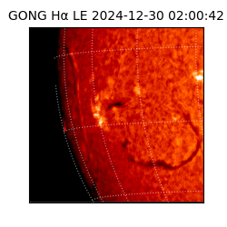 gong - 2024-12-30T02:00:42