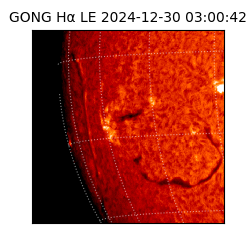 gong - 2024-12-30T03:00:42