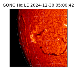 gong - 2024-12-30T05:00:42