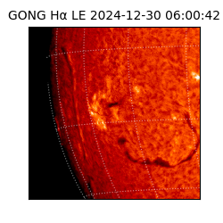 gong - 2024-12-30T06:00:42