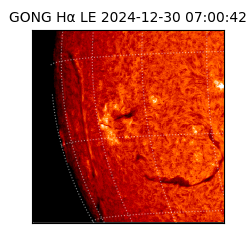 gong - 2024-12-30T07:00:42