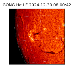 gong - 2024-12-30T08:00:42