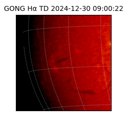 gong - 2024-12-30T09:00:22