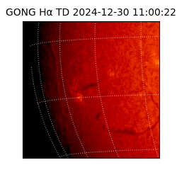 gong - 2024-12-30T11:00:22